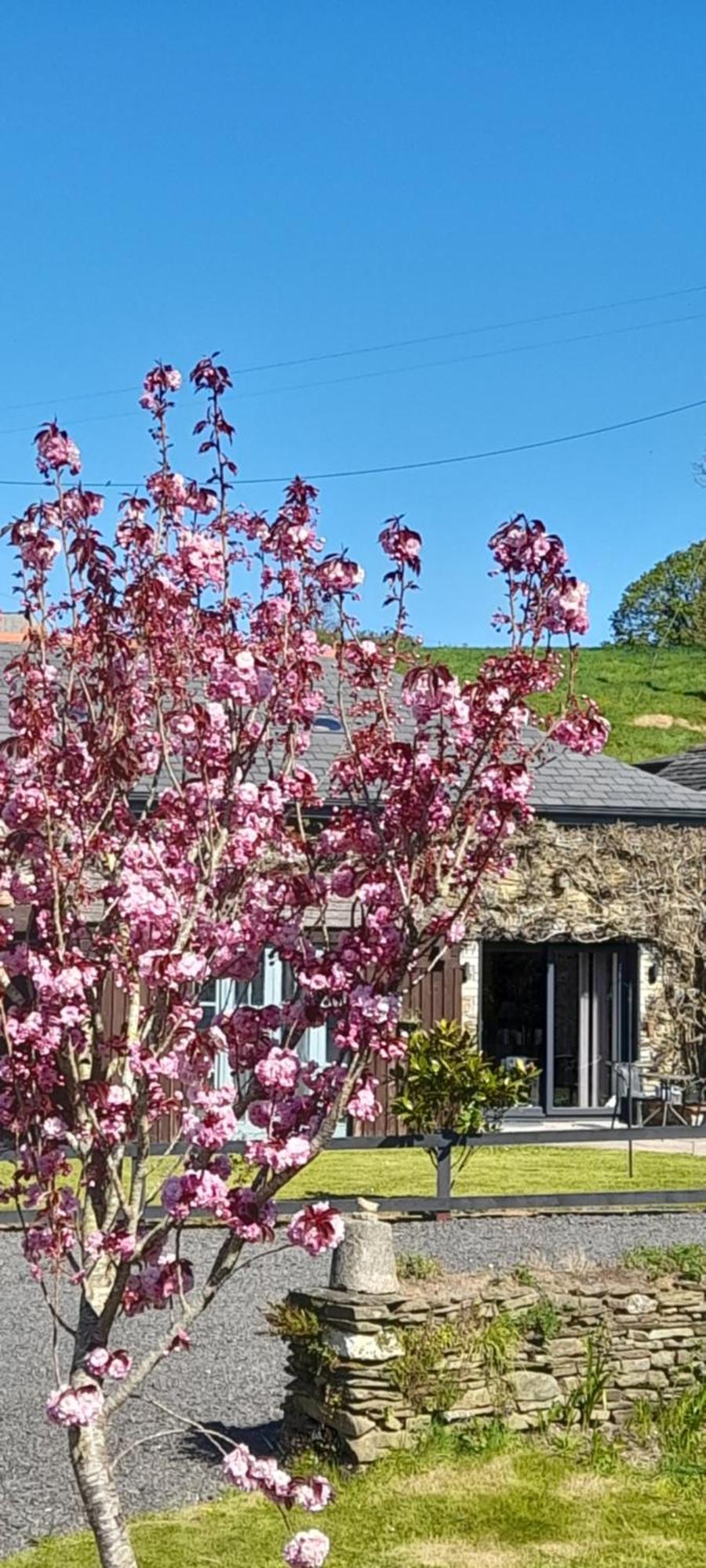 Wisteria Barn, Trewethen, St Teath, Nr Port Isaac Villa Saint Teath ภายนอก รูปภาพ
